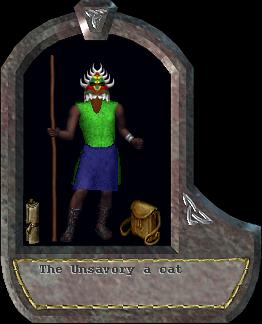 a cat