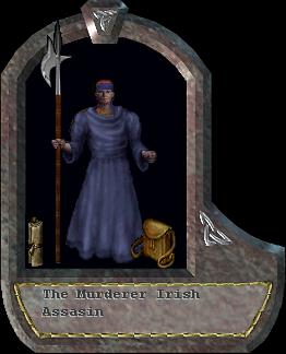 Irish Assasin