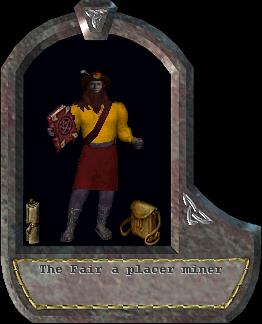 a placer miner