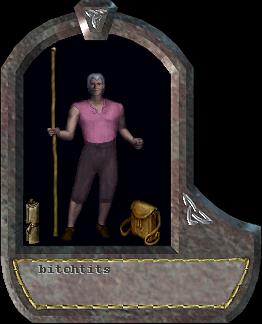 bitchtits
