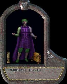 Mapmaker Intern