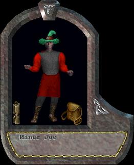 Miner Joe