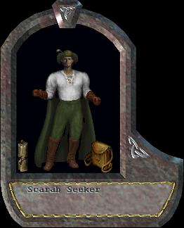 Scarab Seeker