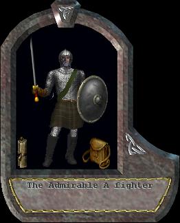 A fighter
