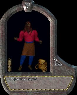 Spaccalegna