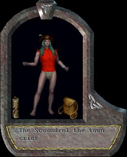 the town crier