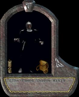 Shadow Ninja