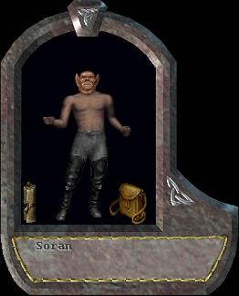 Soran