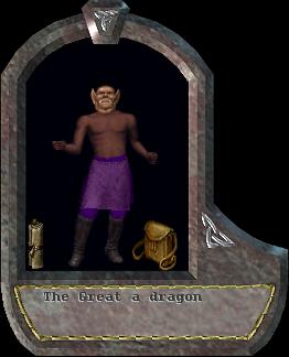 a dragon