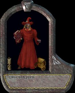 Norsebjorn