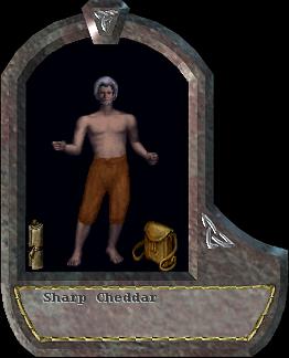 Sharp Cheddar