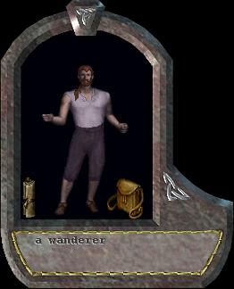 a wanderer