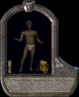 Resource Ninja