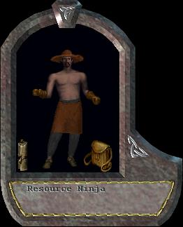 Resource Ninja