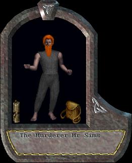Mr Sims