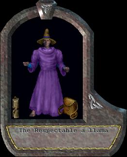 a llama
