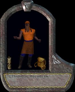 Thundin Horadrim