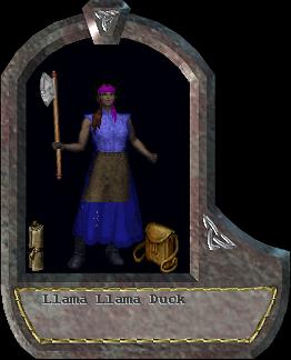 Llama Llama Duck