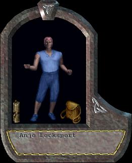 Anjo Locksport