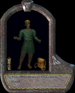 Chicken Hawk