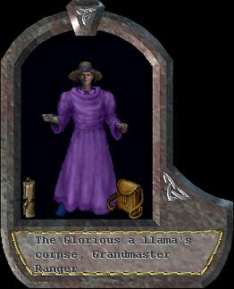 a llama's corpse