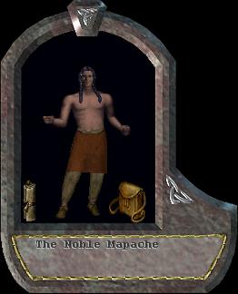 Mapache