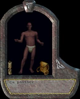 a panther