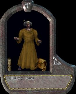 Pulpy Duck